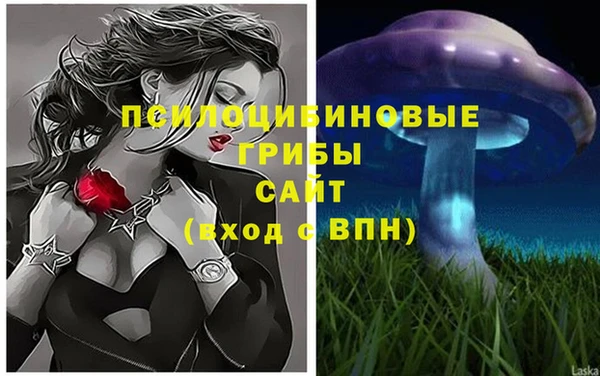 мескалин Туринск